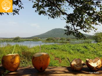 kerala sud gold
