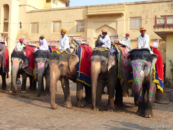 Un Homme Indien Porte Un Casque Et Est Prêt à Conduire Pour Explorer Les  Attractions Indiennes De Goa