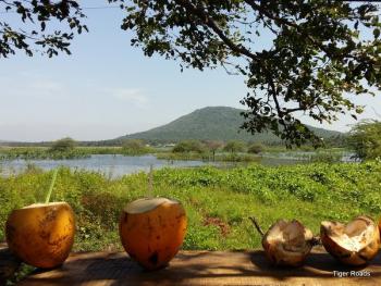Kerala Inde Moto voyage