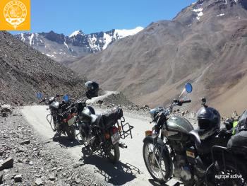 transhimalayenne gold