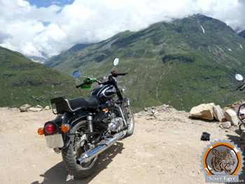Tiger Roads silver