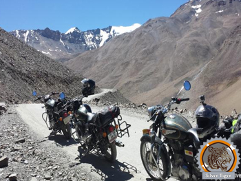 Tiger Roads silver